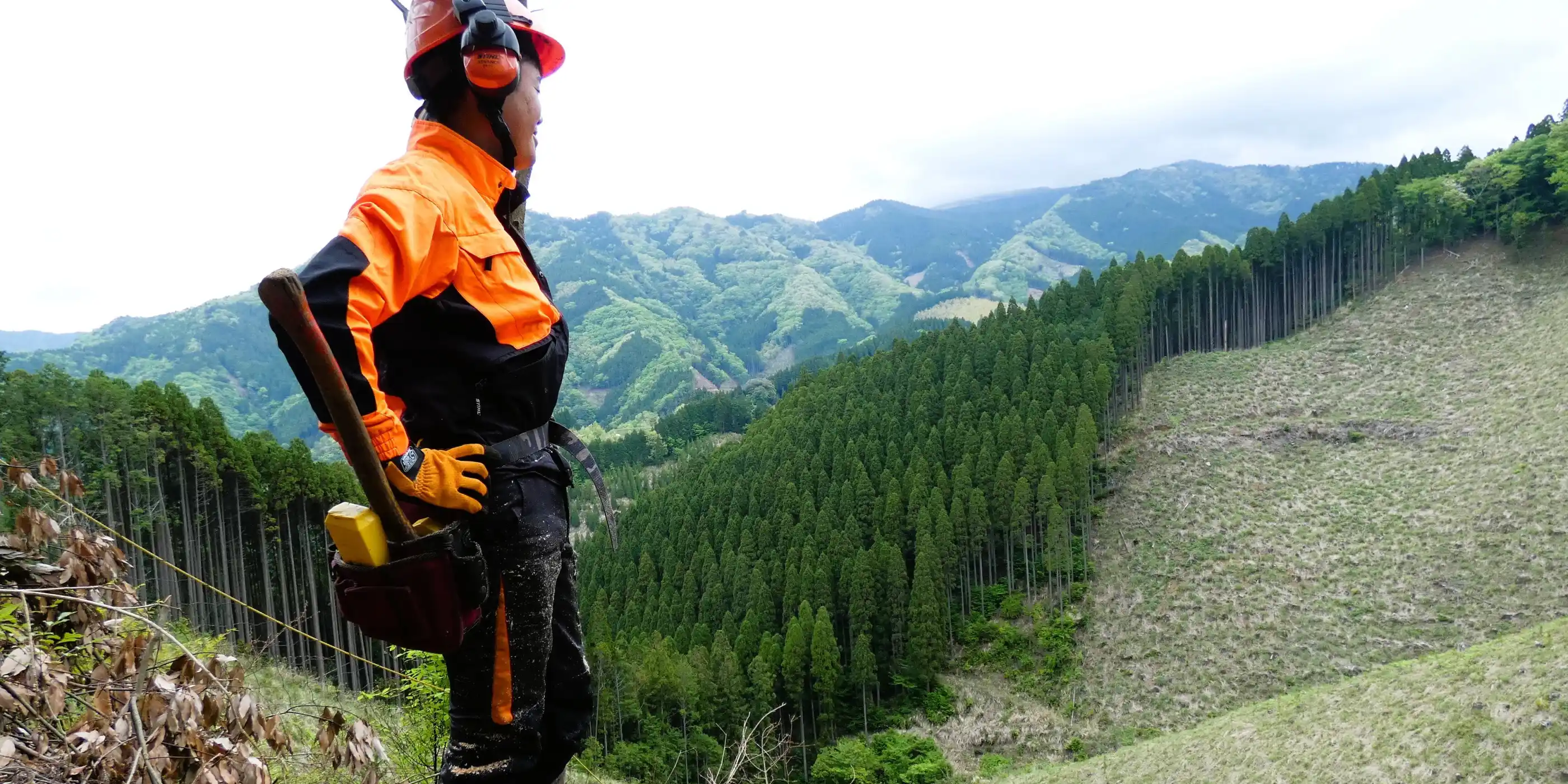 ”トップ画像”