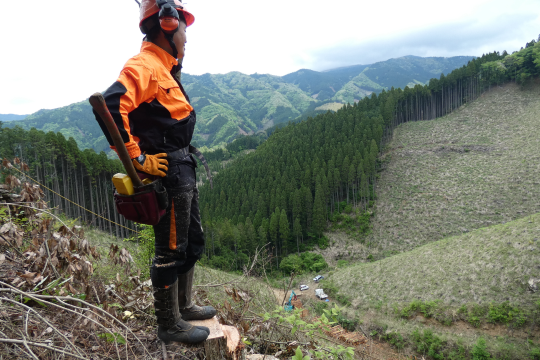 情森林整備活動の仕事